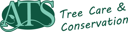 Advanced Tree Services