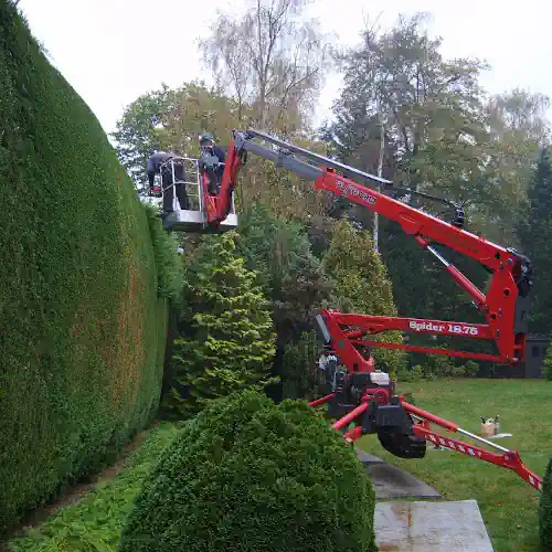 ATS team using specialist access equipment to maintain a large hedge