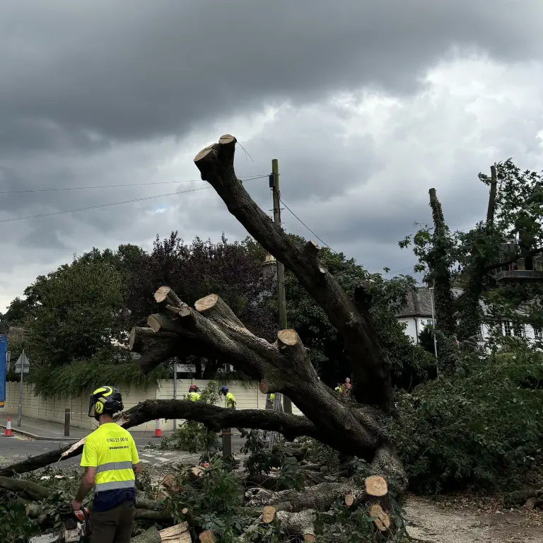 ATS team using specialist equipment during emergency tree clearance